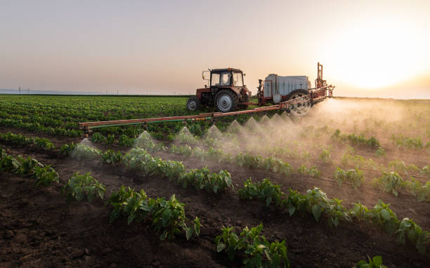 Best Pest Inspection Near Me  in River Grove, IL