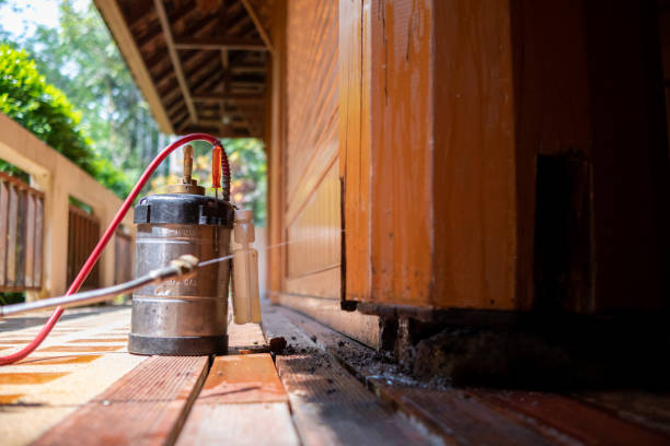 Best Mosquito Control Services  in River Grove, IL