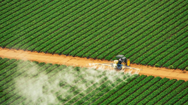 Best Pest Control for Businesses  in River Grove, IL