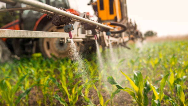 Best Pest Removal Services  in River Grove, IL